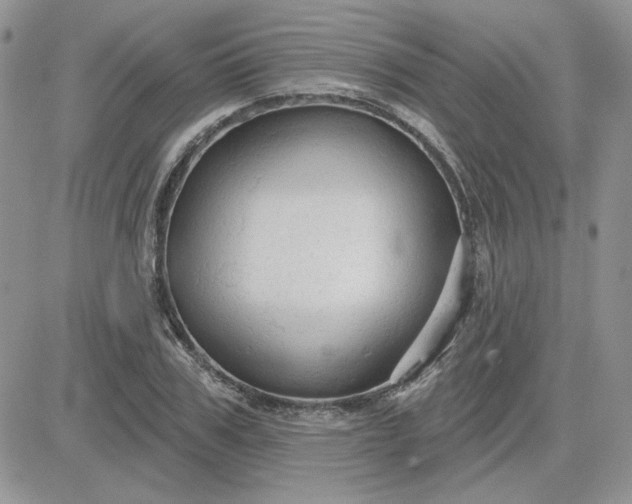 X0000081280979200701251623