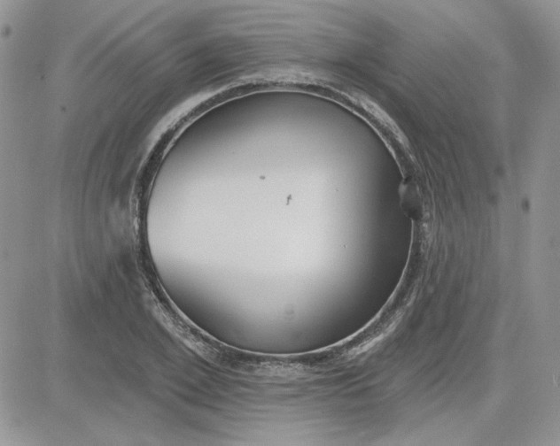 X0000081280981200701251623