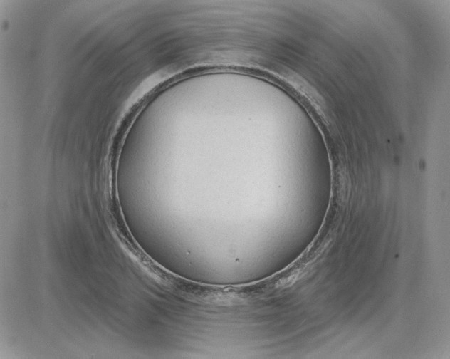 X0000081280982200701251623