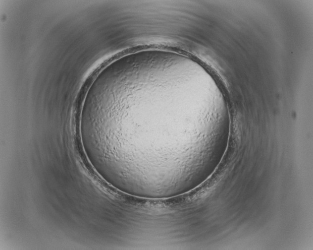 X0000081280983200701251623