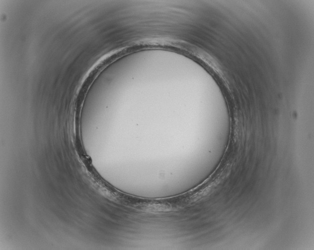 X0000081280984200701251623