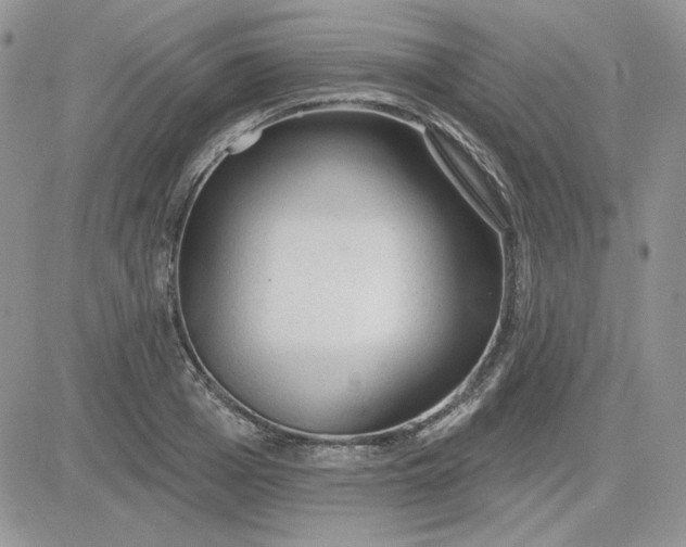 X0000081280985200701251623