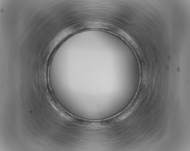 X0000081280986200701251623