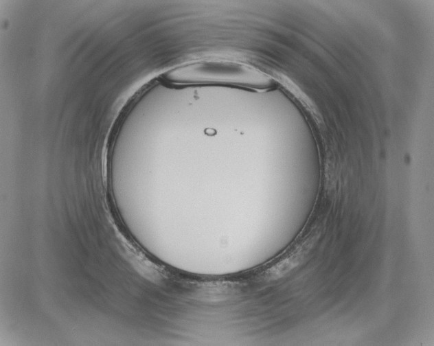 X0000081280988200701251623