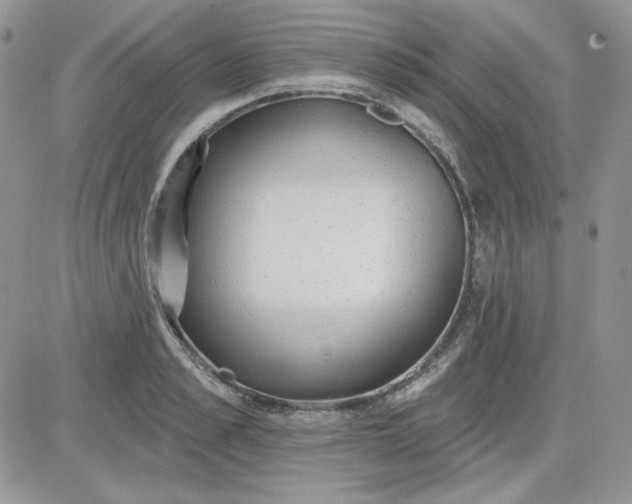 X0000081280989200701251623