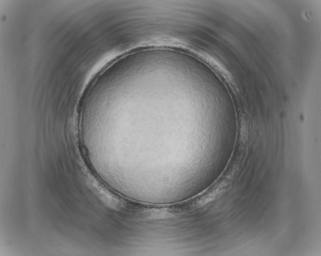 X0000081280990200701251623