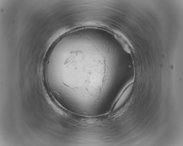 X0000081280991200701251623