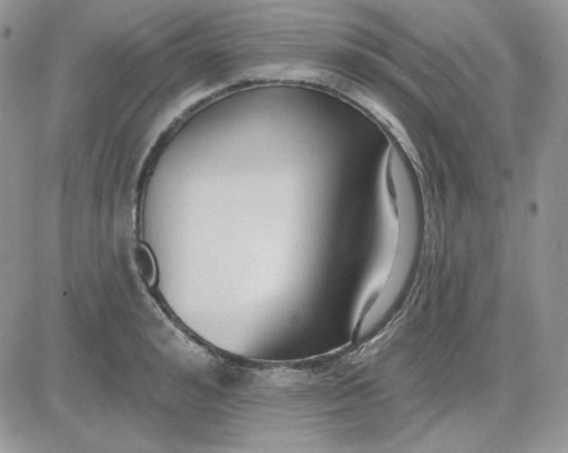 X0000081280992200701251623