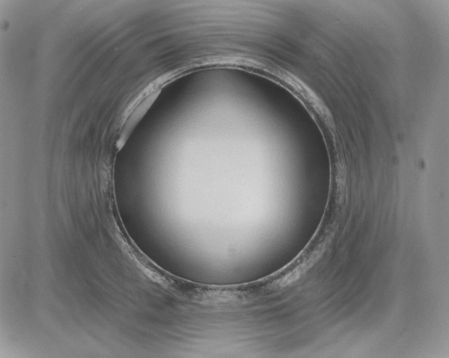 X0000081280993200701251623