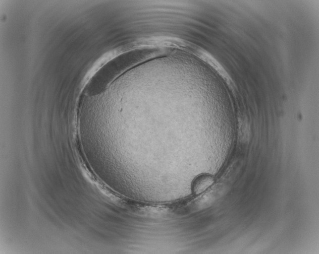 X0000081280994200701251623