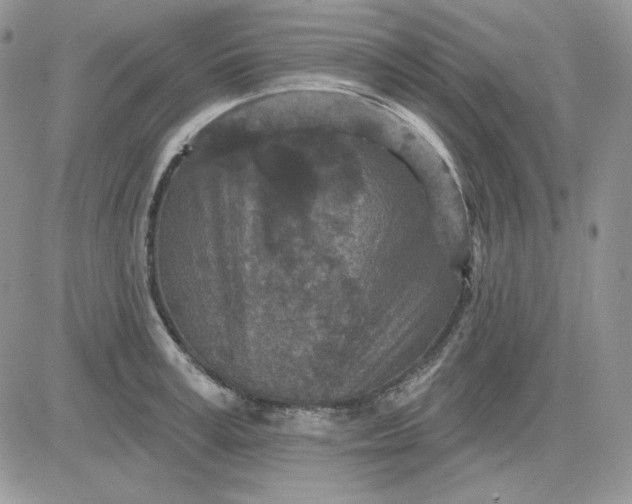 X0000081280995200701251623