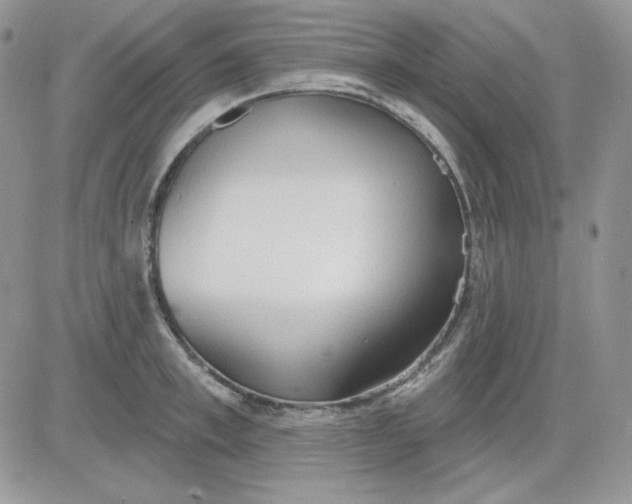 X0000081280997200701251623