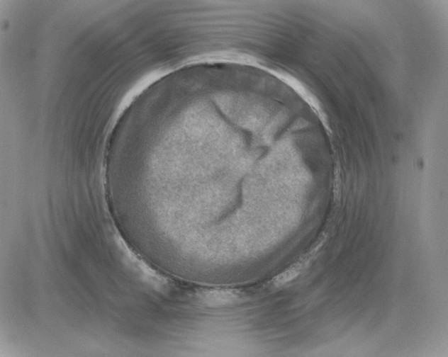 X0000081280998200701251623