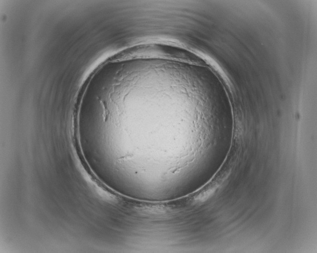 X0000081280999200701251623