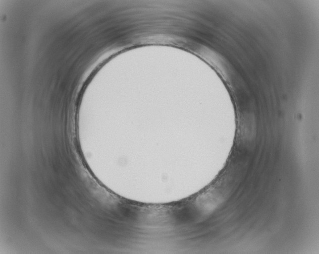 X0000081281000200701251623