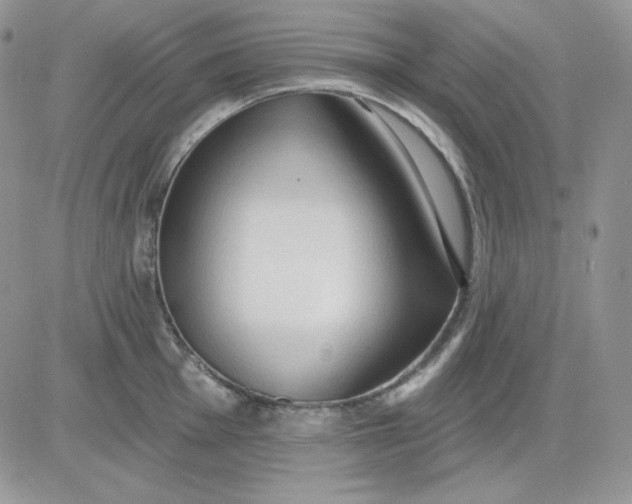 X0000081281001200701251623