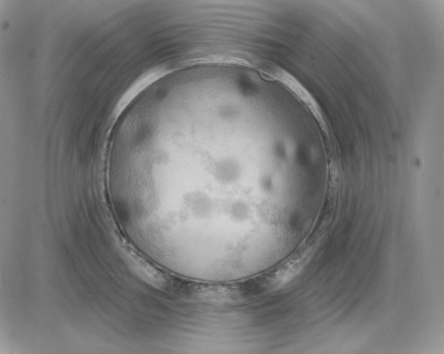 X0000081281002200701251623