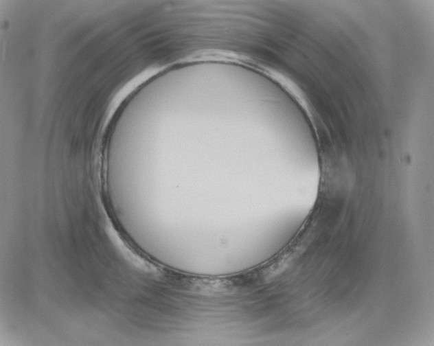 X0000081281003200701251623