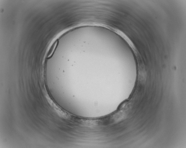 X0000081281004200701251623