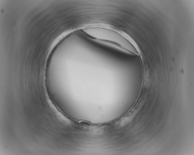 X0000081281005200701251623