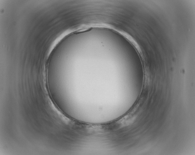 X0000081281006200701251623