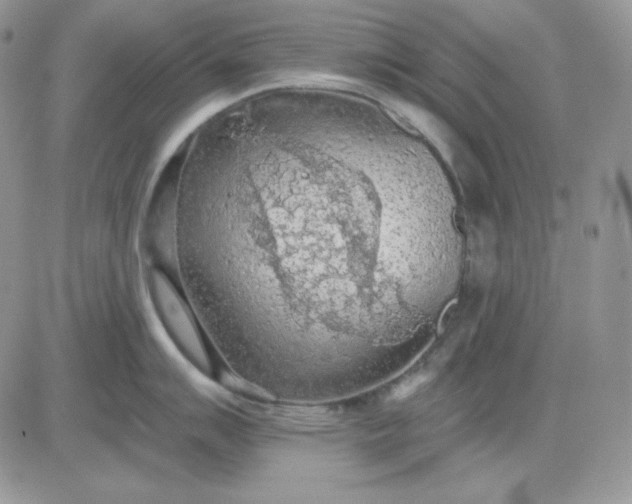 X0000081281007200701251623