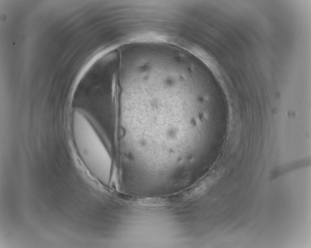 X0000081281008200701251623