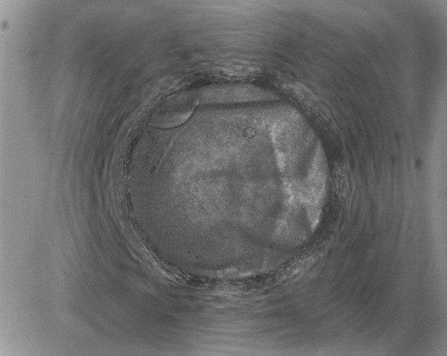 X0000081281009200701251622