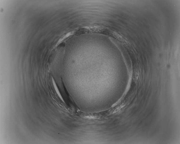 X0000081281010200701251622