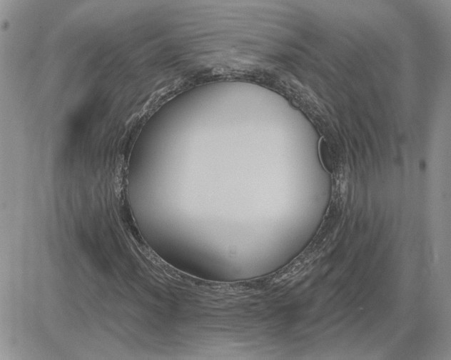 X0000081281012200701251622