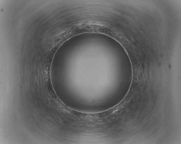 X0000081281013200701251622