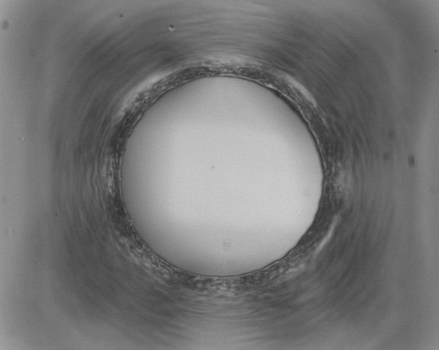 X0000081281016200701251622