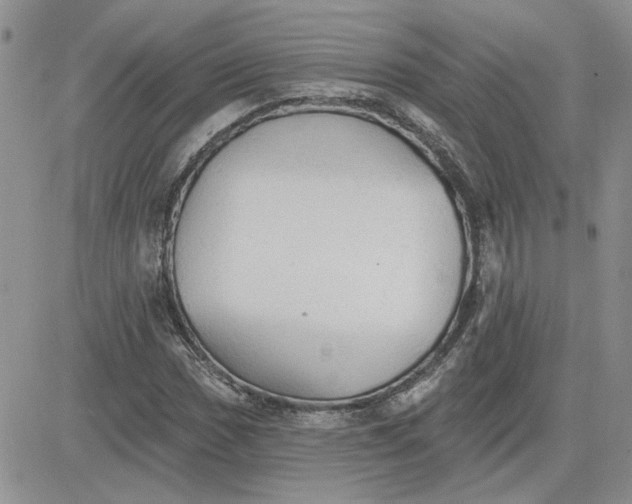 X0000081281017200701251622