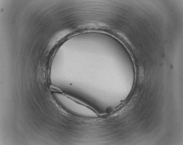 X0000081281018200701251622