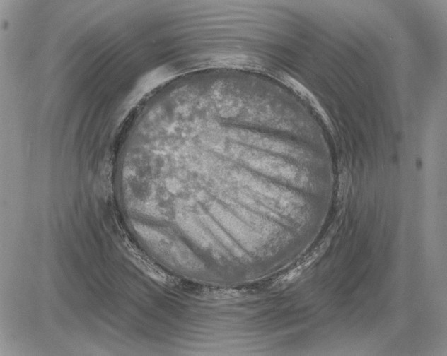 X0000081281019200701251622