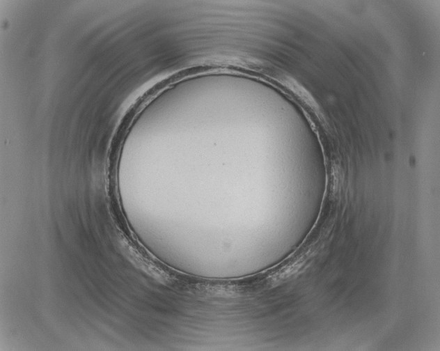 X0000081281020200701251622