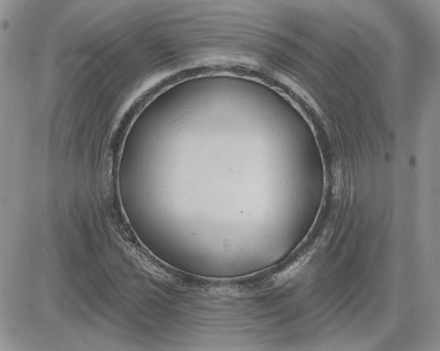 X0000081281021200701251622