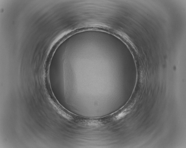 X0000081281024200701251622