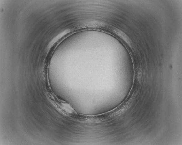 X0000081281026200701251622