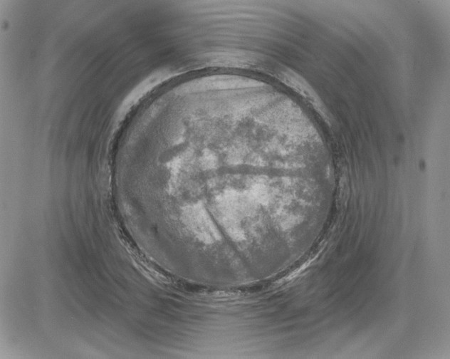 X0000081281027200701251622