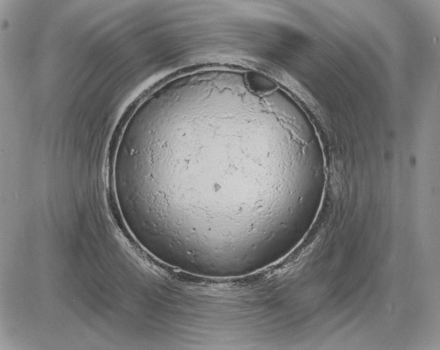 X0000081281028200701251623