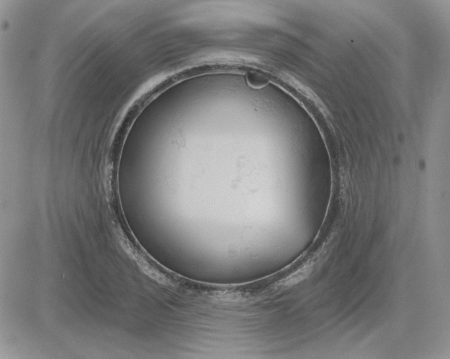 X0000081281029200701251623