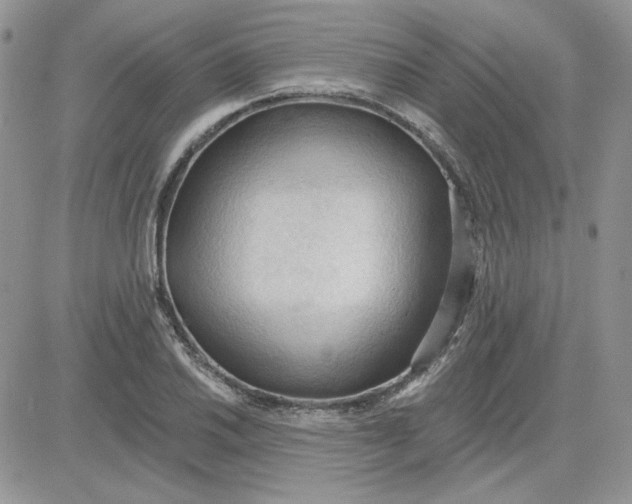 X0000081281030200701251623