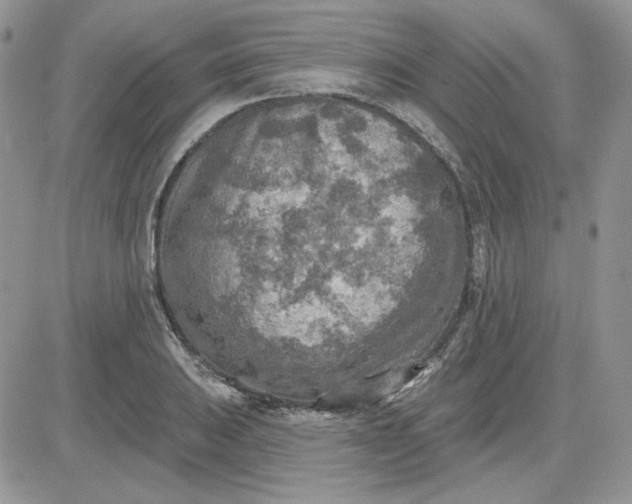 X0000081281031200701251623