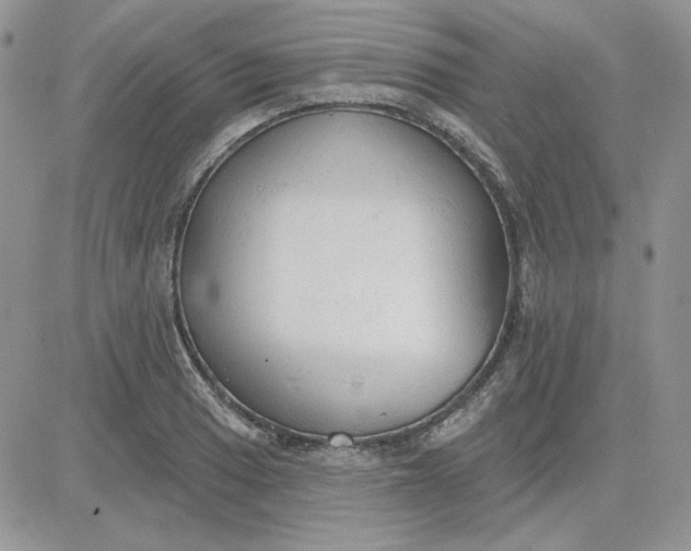 X0000081281033200701251623