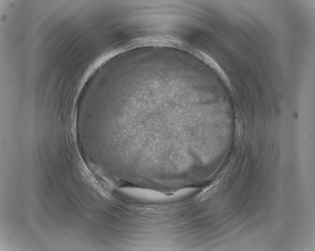 X0000081281035200701251623