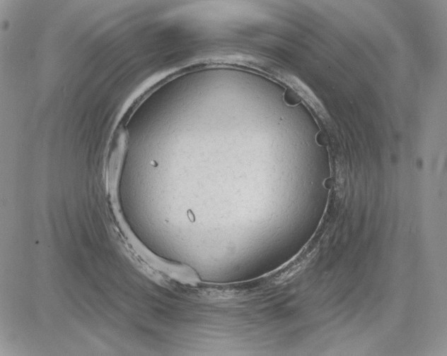 X0000081281036200701251623