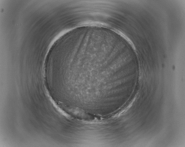 X0000081281037200701251623