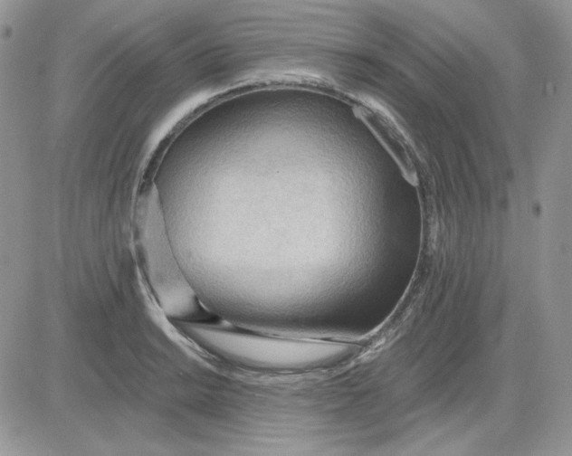 X0000081281038200701251623