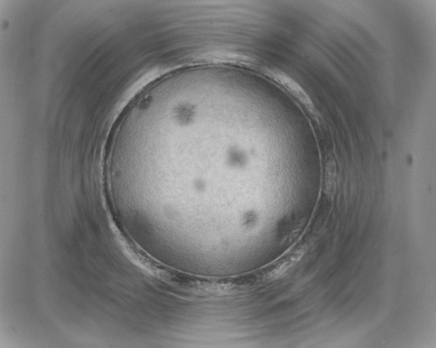 X0000081281039200701251623